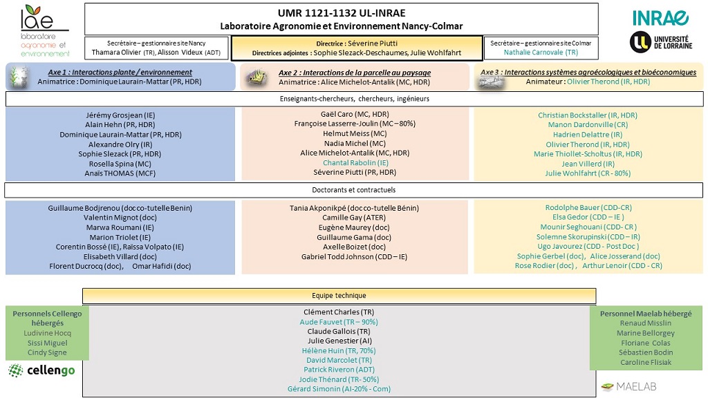 organigramme de l'unité