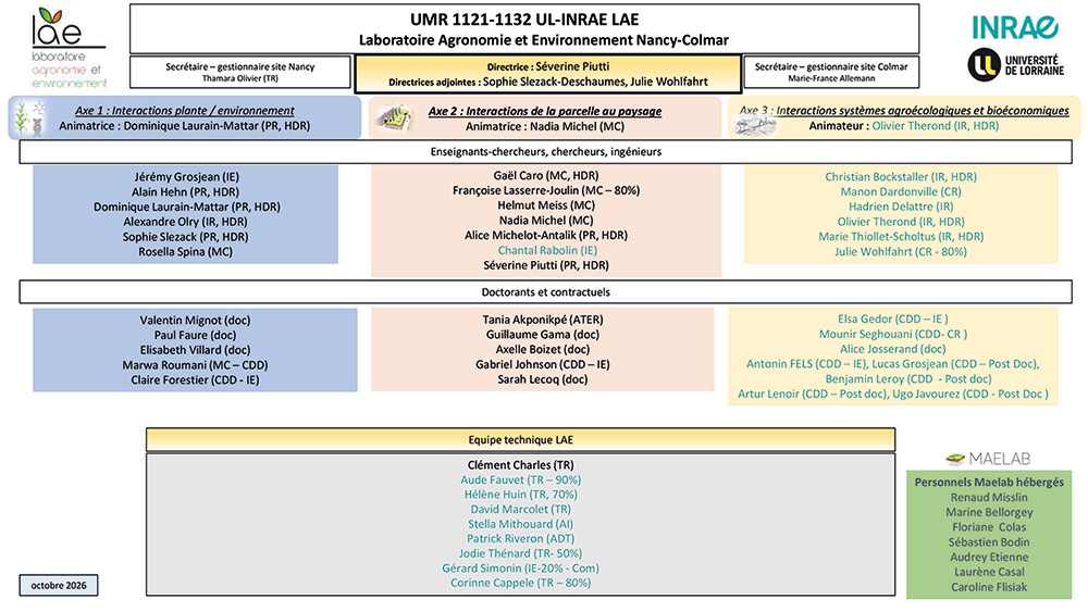 Image de l'organigramme du LAE octobre 2026